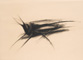 Grillo - Gesso nero su carta - 35x50 cm - 2007