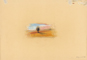 Albero in piana di frumento sfalciato - Matite pastello - 25x35 cm - 2001