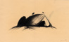 Il Rospo - Gesso nero su carta - 35x50 cm - 2003