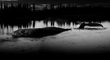 Leviathan - Photocollage digitale - 2013