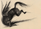 Pegaso caduto - Gesso nero su carta - 50x70 cm - 2013