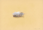 Campo brinato - Matite pastello - 25x35 cm - 2002