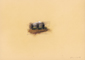 Opi a fine settembre - Matite pastello - 25x35 cm - 2002