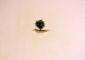 Quercia - Matite pastello - 25x35 cm - 2009